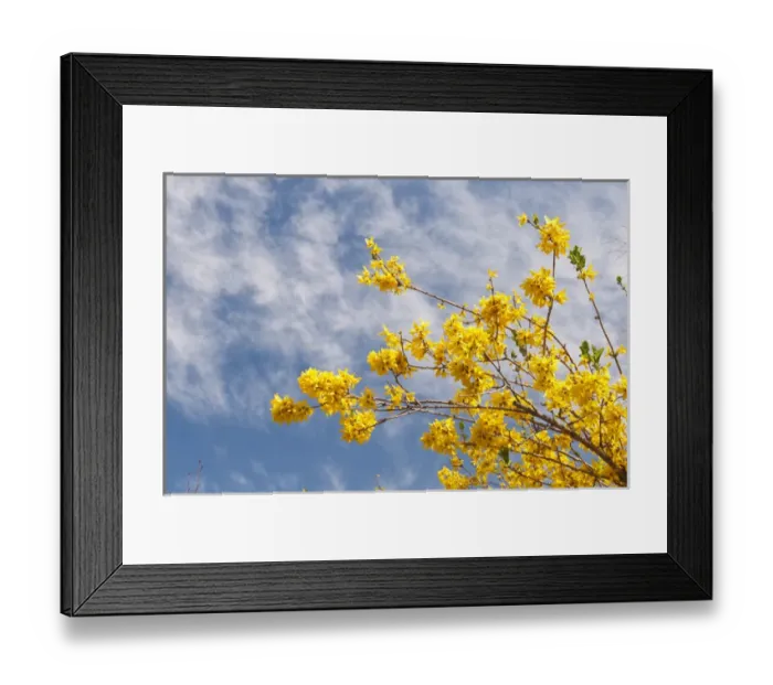 Framed Print : USA, CO, Denver. Denver Botanic Gardens located in central Denver Framed Print : USA, CO, Denver. Denver Botanic Gardens located in central Denver