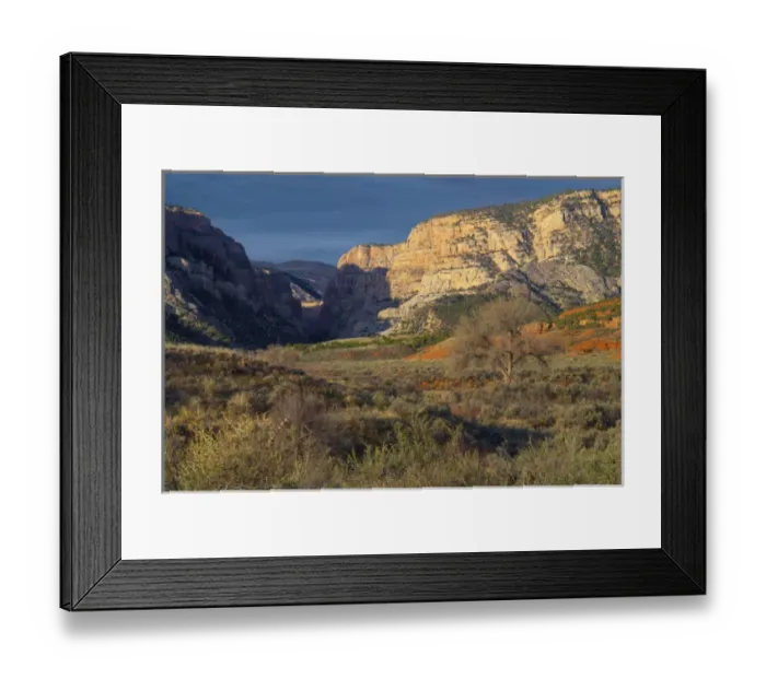 Framed Print : Looking up pool creek canyon, Dinosaur National Monument, Utah Framed Print : Looking up pool creek canyon, Dinosaur National Monument, Utah