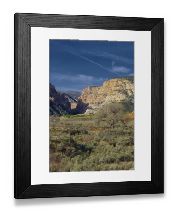 Framed Print : Looking up pool creek canyon, Dinosaur National Monument, Utah