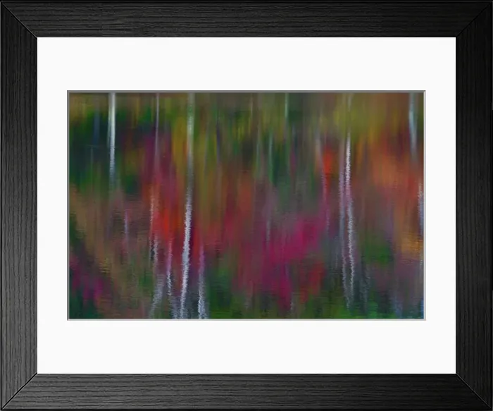 Framed Print : Fall tree reflections in Blackledge Pond Framed Print : Fall tree reflections in Blackledge Pond