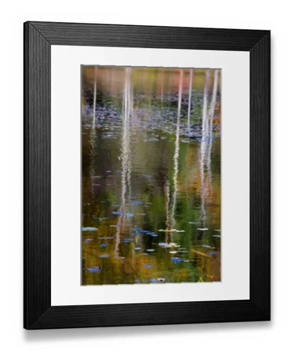 Framed Print : Fall foliage reflecting on Blackledge Pond Framed Print : Fall foliage reflecting on Blackledge Pond