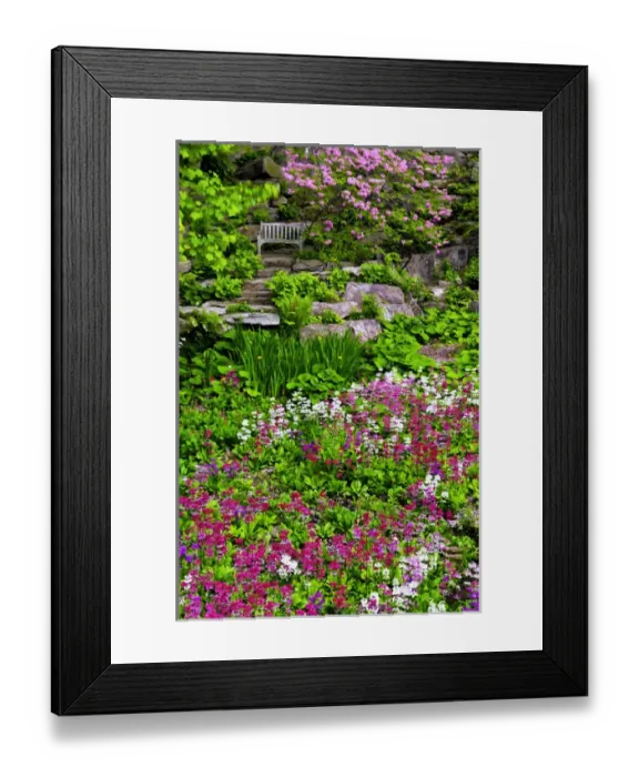 Framed Print : USA, Delaware, Wilmington, Quarry Garden