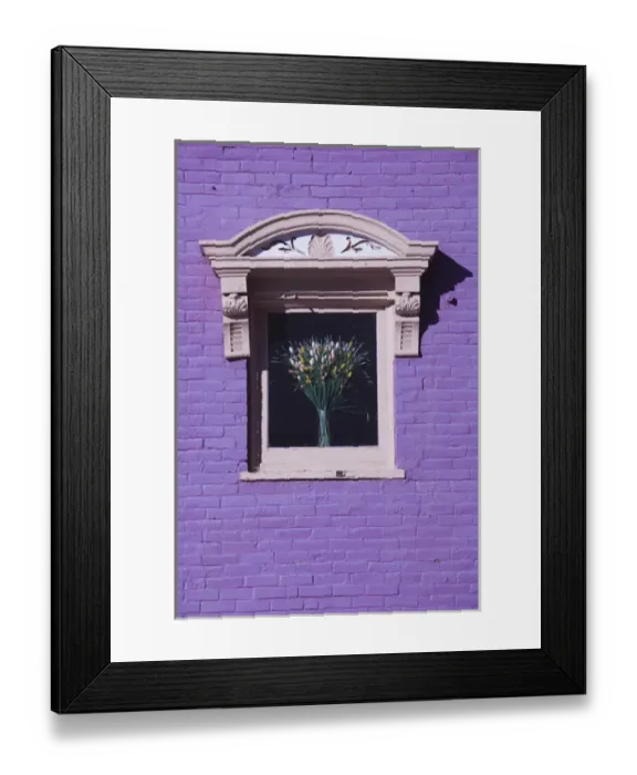 Framed Print : USA, Colorado, Leadville, purple wall wth flowers in window