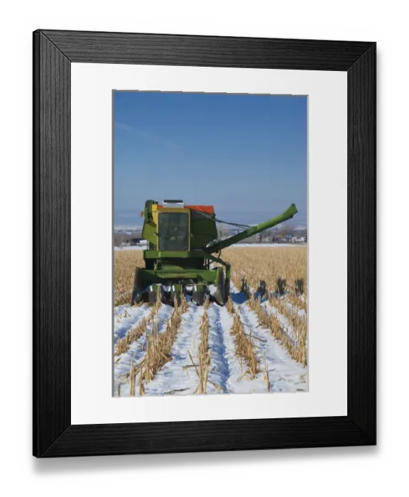 Framed Print : USA, Colorado, Montrose, combine in snowy field Framed Print : USA, Colorado, Montrose, combine in snowy field
