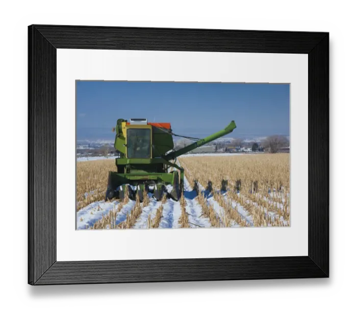 Framed Print : USA, Colorado, Montrose, combine in snowy field Framed Print : USA, Colorado, Montrose, combine in snowy field