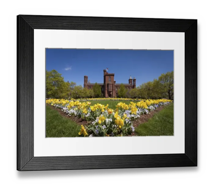 Framed Print : USA, Washington, DC. Haupt Garden outside the Smithsonian Institution Castle Framed Print : USA, Washington, DC. Haupt Garden outside the Smithsonian Institution Castle