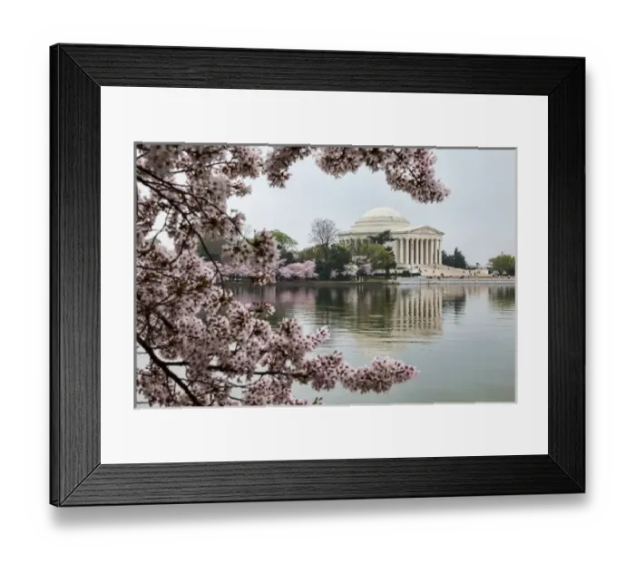 Framed Print : USA, District of Columbia, Washingon, Jefferson Memorial and Tidal Basin with Cherry Framed Print : USA, District of Columbia, Washingon, Jefferson Memorial and Tidal Basin with Cherry