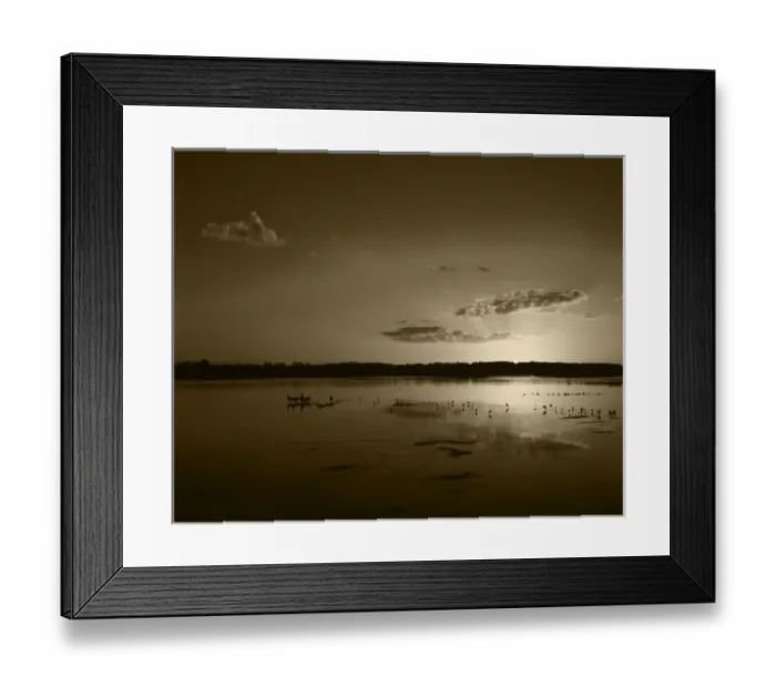 Framed Print : USA, Florida, J. N. Ding Darling National Wildlife Refuge, Birds in water at sunset Framed Print : USA, Florida, J. N. Ding Darling National Wildlife Refuge, Birds in water at sunset