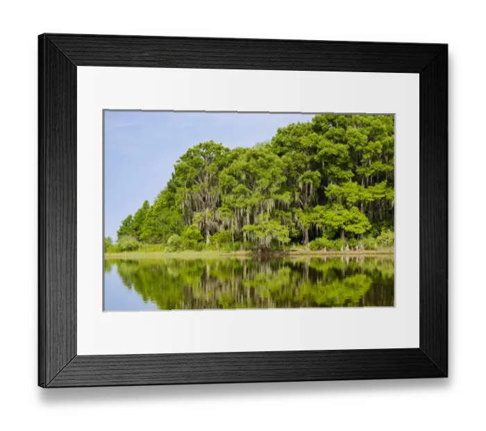 Framed Print : Everglades Florida Framed Print : Everglades Florida