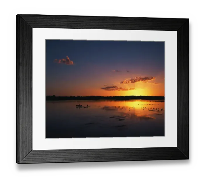 Framed Print : USA, Florida, J. N. Ding Darling National Wildlife Refuge, Birds in water at sunset Framed Print : USA, Florida, J. N. Ding Darling National Wildlife Refuge, Birds in water at sunset