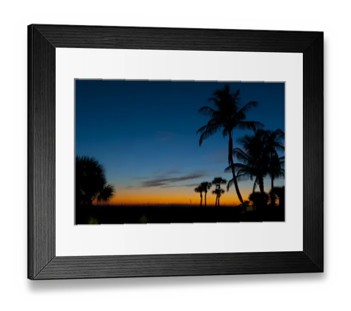 Framed Print : North America, USA, Florida, Sarasota, Sunset through the Palms on the Crescent Beach Framed Print : North America, USA, Florida, Sarasota, Sunset through the Palms on the Crescent Beach