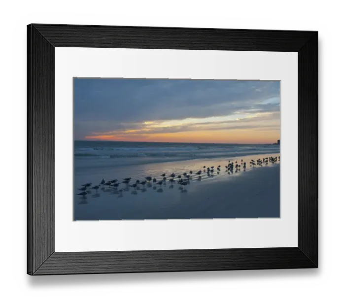 Framed Print : North America, USA, Florida, Sarasota, cloudy Sunset on the Crescent Beach, Siesta Key Framed Print : North America, USA, Florida, Sarasota, cloudy Sunset on the Crescent Beach, Siesta Key