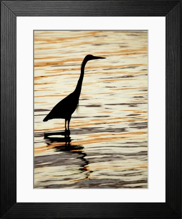 Framed Print : USA, Florida, Sanibel, Sanibel Fishing Pier