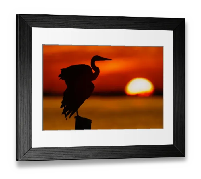 Framed Print : USA, Florida, St. Petersburg, Fort De Soto Park