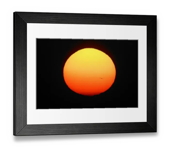 Framed Print : USA, Florida, Ft. Myers. Silhouette of bird flying in front of sun globe. Credit as