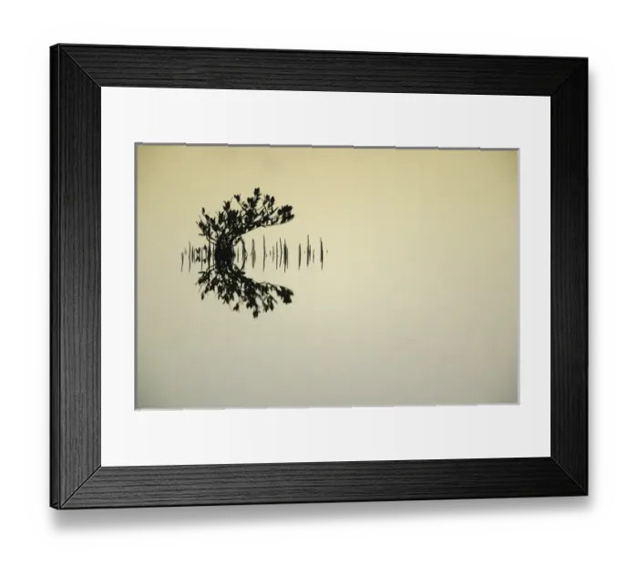 Framed Print : USA, Florida, Titusvulle, Merritt Island National Wildlife Refuge Framed Print : USA, Florida, Titusvulle, Merritt Island National Wildlife Refuge