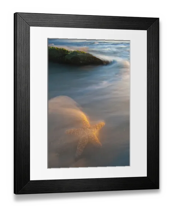 Framed Print : USA, Florida, St. Augustine. Credit as: Nancy Rotenberg / Jaynes Gallery / DanitaDelimont Framed Print : USA, Florida, St. Augustine. Credit as: Nancy Rotenberg / Jaynes Gallery / DanitaDelimont