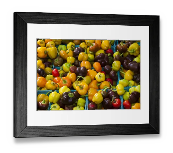 Framed Print : USA; North America; Georgia; Savannah; Fresh colorful organic peppers at a Farmer s Framed Print : USA; North America; Georgia; Savannah; Fresh colorful organic peppers at a Farmer s