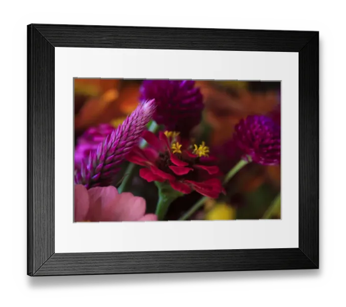 Framed Print : USA; North America; Georgia; Savannah; Bouquet of colorful flowers at a Farmers Market