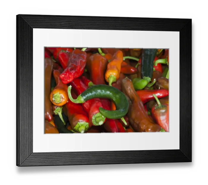 Framed Print : USA; North America; Georgia; Savannah; Fresh colorful organic peppers at a Farmer s Framed Print : USA; North America; Georgia; Savannah; Fresh colorful organic peppers at a Farmer s