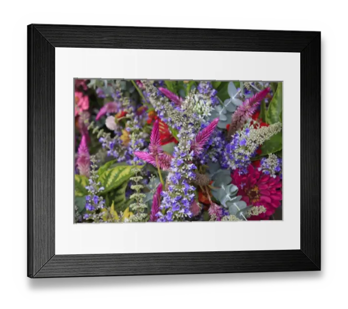 Framed Print : USA; North America; Georgia; Savannah; Bouquet of colorful flowers at a Farmers Market