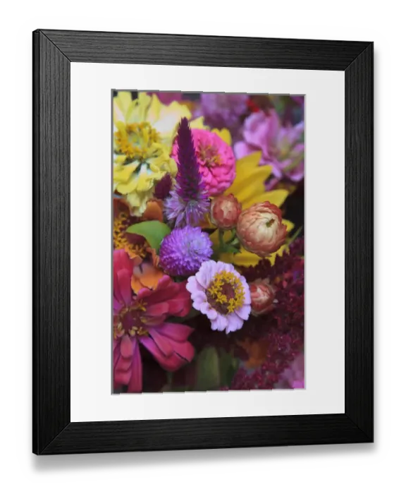 Framed Print : USA; North America; Georgia; Savannah; Bouquet of colorful sunflowers at a Farmers Market Framed Print : USA; North America; Georgia; Savannah; Bouquet of colorful sunflowers at a Farmers Market