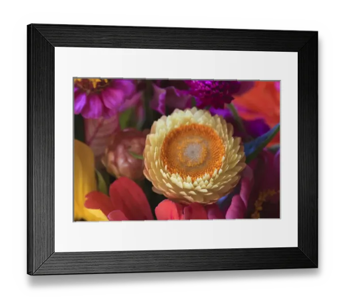 Framed Print : USA; North America; Georgia; Savannah; Bouquet of colorful flowers at a Farmers Market Framed Print : USA; North America; Georgia; Savannah; Bouquet of colorful flowers at a Farmers Market