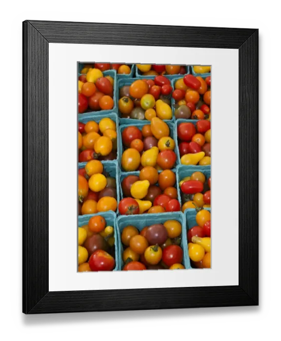 Framed Print : North America, USA, Georgia; Savannah; Organic cherry tomatoes at a farmer s Framed Print : North America, USA, Georgia; Savannah; Organic cherry tomatoes at a farmer s