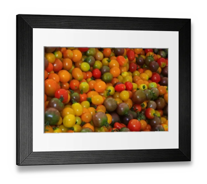 Framed Print : North America, USA, Georgia; Savannah; Organic cherry tomatoes at a farmer s
