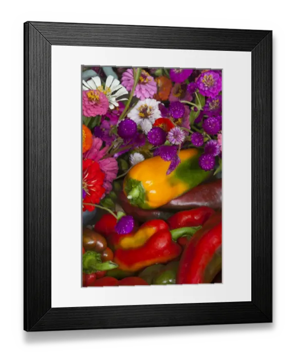 Framed Print : USA; North America; Georgia; Savannah; Fresh colorful organic vegetables and flowers