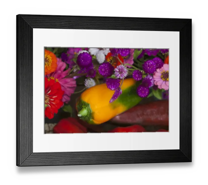 Framed Print : USA; North America; Georgia; Savannah; Fresh colorful organic vegetables and flowers Framed Print : USA; North America; Georgia; Savannah; Fresh colorful organic vegetables and flowers