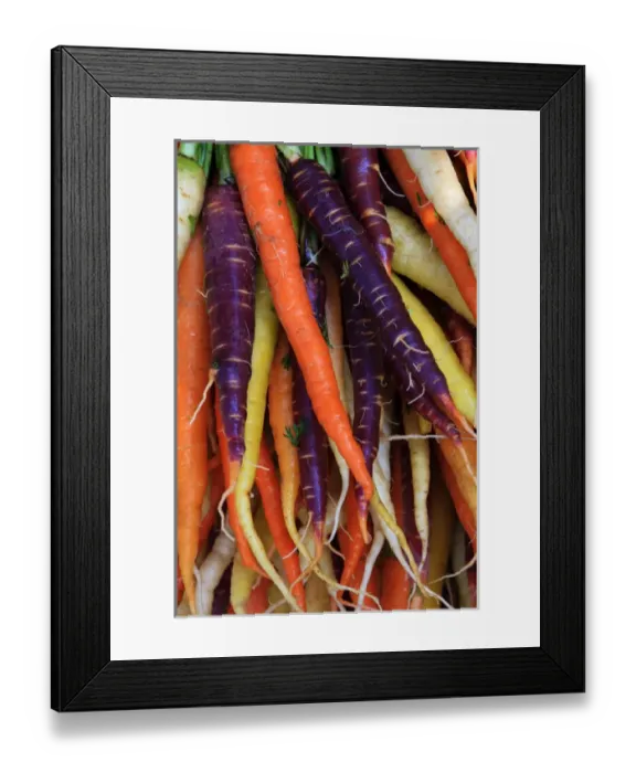 Framed Print : North America, USA, Georgia; Savannah; Multi colored organic carrots at a Farmer s Framed Print : North America, USA, Georgia; Savannah; Multi colored organic carrots at a Farmer s