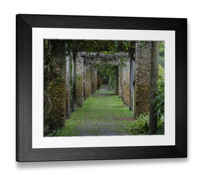 Framed Print : USA, Florida, Coral Gables. Vine Pergola; Fairchild Tropical Botanic Garden