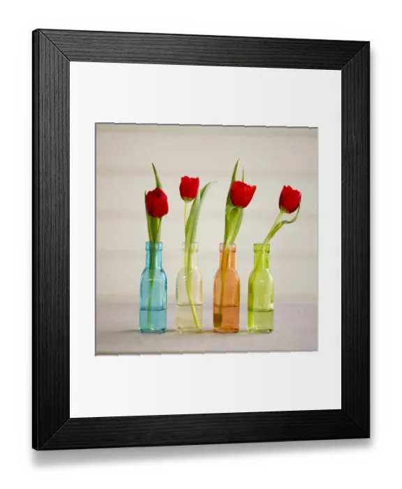 Framed Print : USA, Florida, Celebration, Tulips Framed Print : USA, Florida, Celebration, Tulips