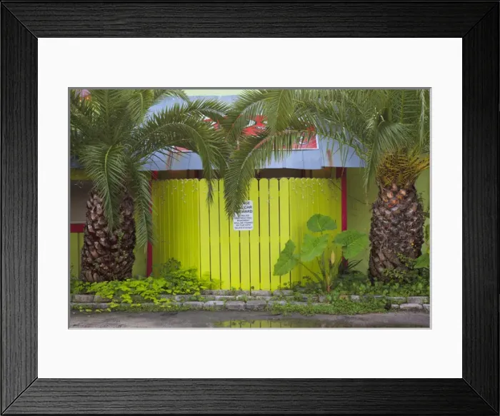 Framed Print : USA; North America; Florida; Apalachicola; Green fence wooden with palm trees