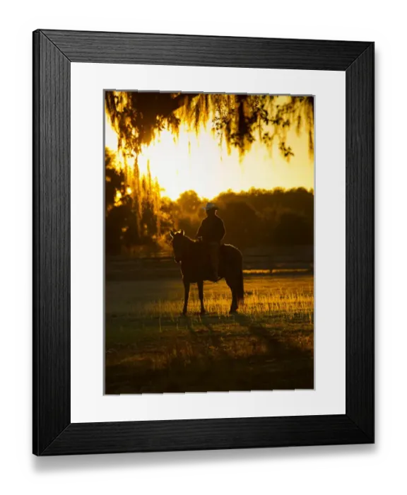 Framed Print : Florida cracker, Chuck Luzier on Cheyenne an adopted mustang in a Florida Framed Print : Florida cracker, Chuck Luzier on Cheyenne an adopted mustang in a Florida