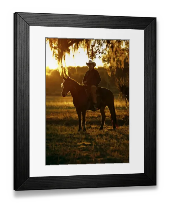 Framed Print : Florida cracker, Chuck Luzier on Cheyenne an adopted mustang in a Florida Framed Print : Florida cracker, Chuck Luzier on Cheyenne an adopted mustang in a Florida