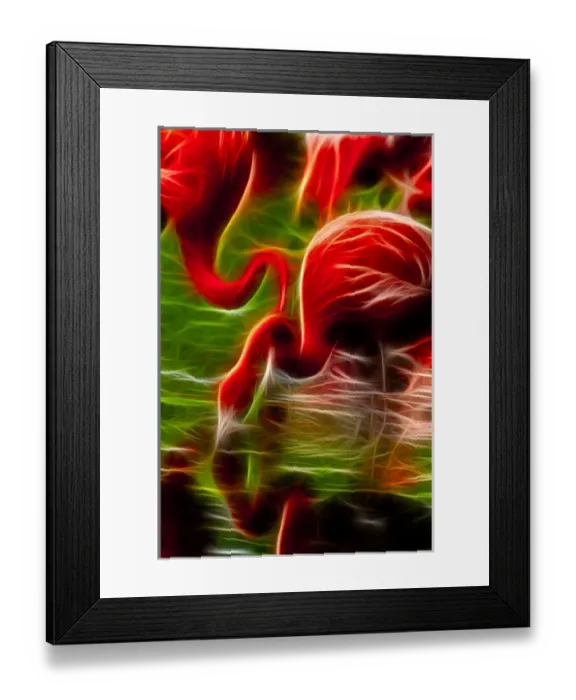 Framed Print : Flamingoes feeding at the Jacksonville Zoo, Florida: Digitally Altered Framed Print : Flamingoes feeding at the Jacksonville Zoo, Florida: Digitally Altered