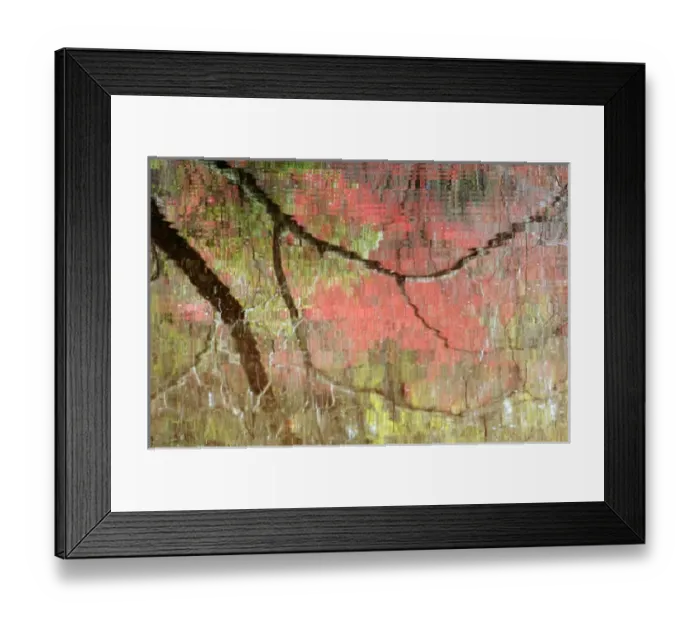 Framed Print : USA, Georgia, Callaway Gardens, Reflections of early spring buds in pond. Credit as