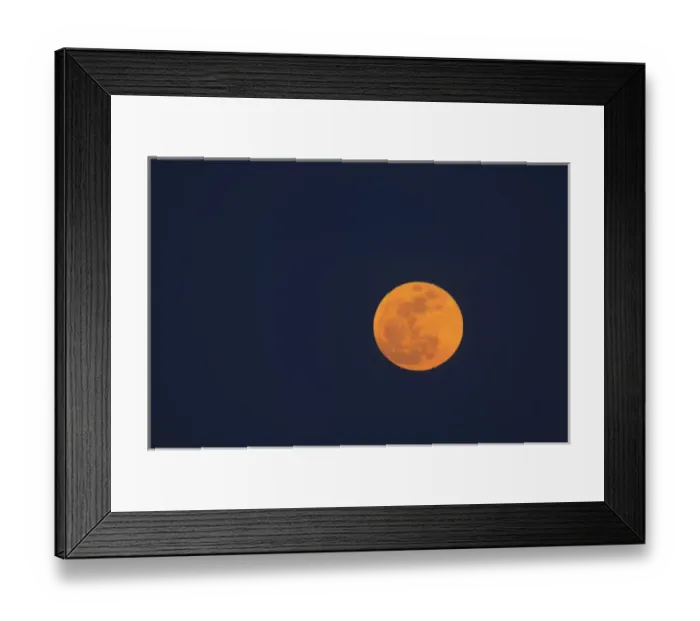 Framed Print : North America, USA, Georgia; Savannah; Moon rise of the super moon Framed Print : North America, USA, Georgia; Savannah; Moon rise of the super moon