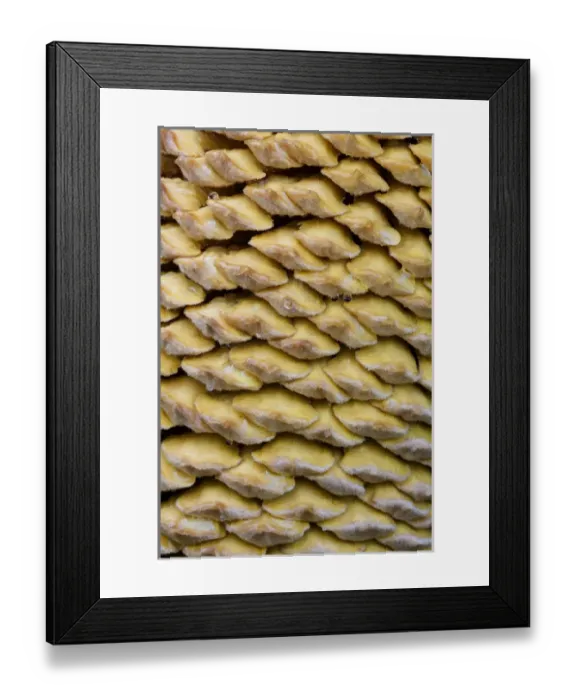 Framed Print : North America, USA, Georgia; Savannah; Close up of cone on a sago palm Framed Print : North America, USA, Georgia; Savannah; Close up of cone on a sago palm