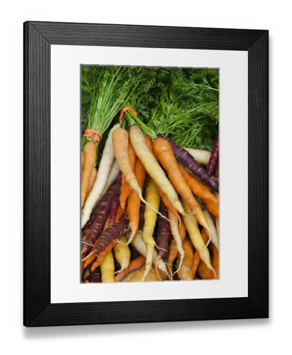 Framed Print : USA; North America; Georgia; Savannah; Fresh carrots at a Farmers Market