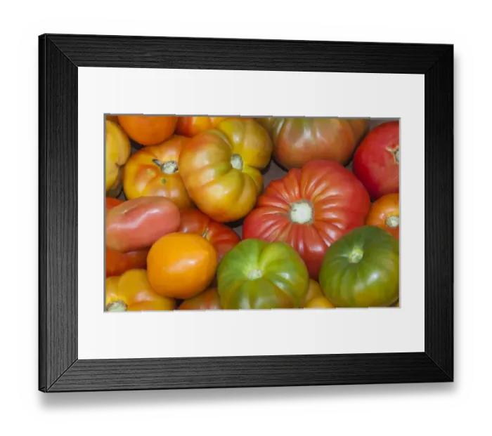 Framed Print : USA; North America; Georgia; Savannah; Fresh tomatoes at a Farmers Market Framed Print : USA; North America; Georgia; Savannah; Fresh tomatoes at a Farmers Market