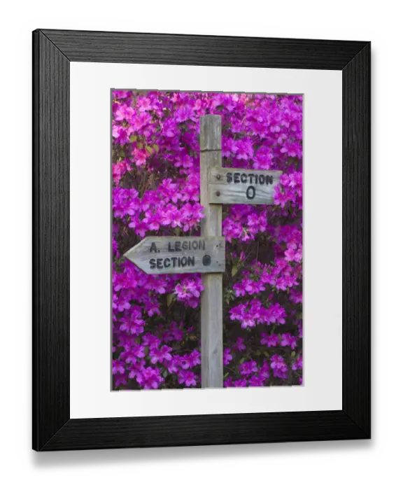 Framed Print : North America, USA, Georgia; Savannah; Direction markers and azaleas at Bonaventure