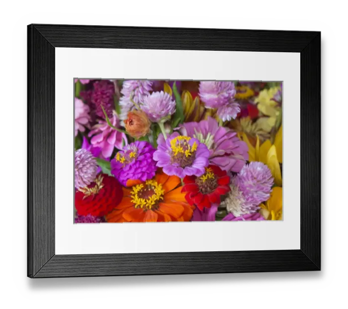 Framed Print : USA; North America; Georgia; Savannah; Bouquet of colorful at a Farmers Market Framed Print : USA; North America; Georgia; Savannah; Bouquet of colorful at a Farmers Market