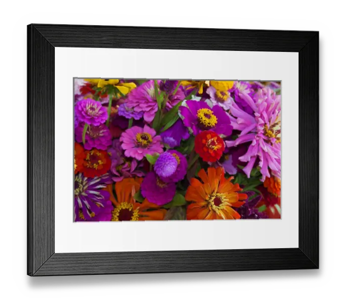 Framed Print : USA; North America; Georgia; Savannah; Bouquet of colorful flowers at market. (PR)