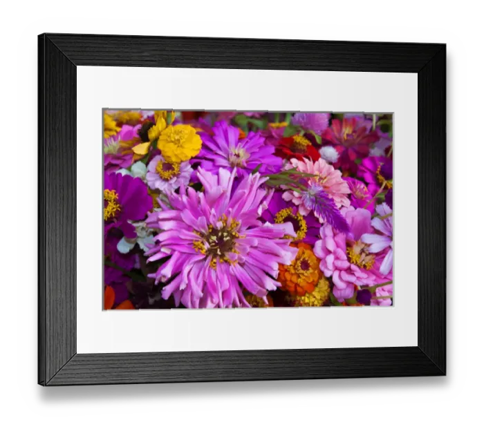 Framed Print : USA; North America; Georgia; Savannah; Bouquet of colorful flowers at market. (PR) Framed Print : USA; North America; Georgia; Savannah; Bouquet of colorful flowers at market. (PR)