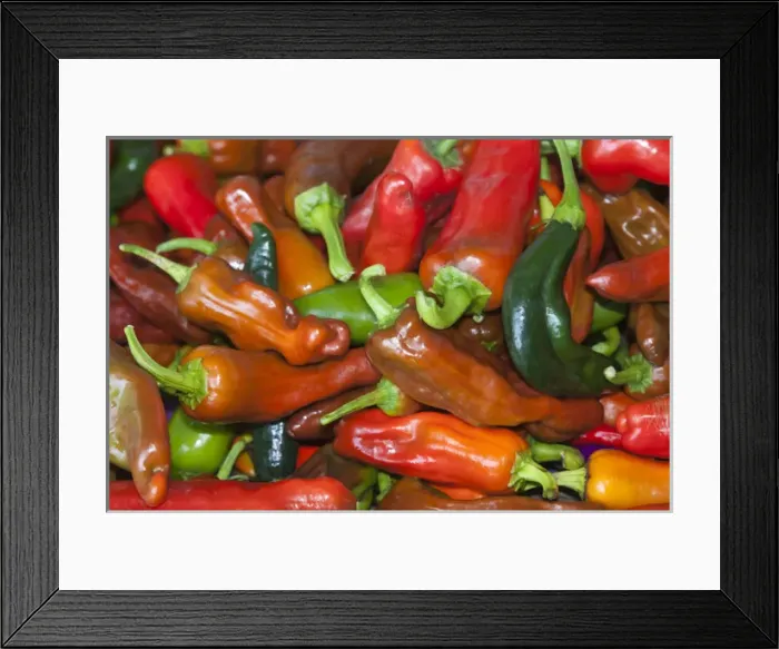 Framed Print : USA; North America; Georgia; Savannah; Fresh colorful peppers at a Farmers Market