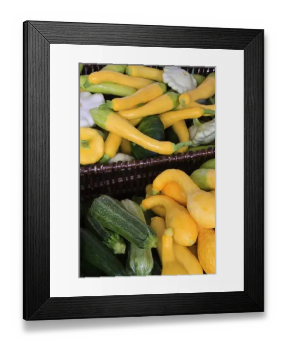 Framed Print : North America, USA, Georgia; Savannah; Organic squash at a Farmers in Savannah Framed Print : North America, USA, Georgia; Savannah; Organic squash at a Farmers in Savannah