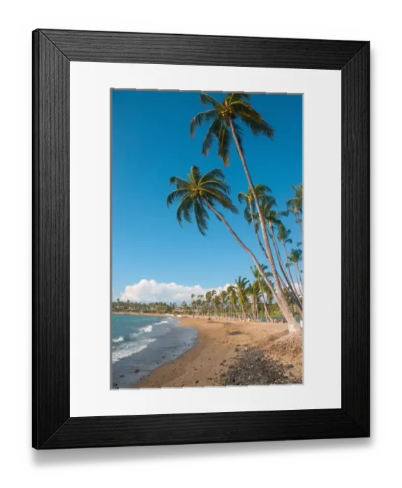 Framed Print : Hawaii, Big Island, Kohala Coast. Anaeho omalu Beach. Palm trees